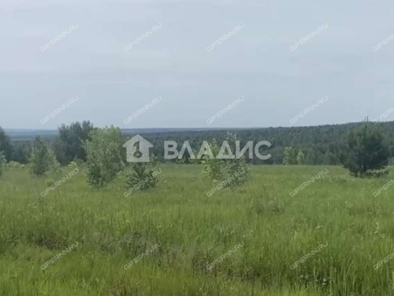 земельный участок 23 000 соток Центральная улица посёлок Мирный